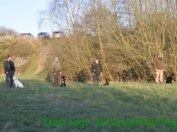 Hundetræning forår 2015